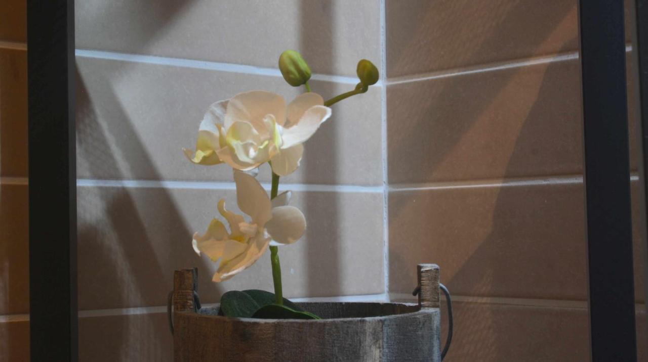 Mazi Apartments Downtown Mataró Zewnętrze zdjęcie